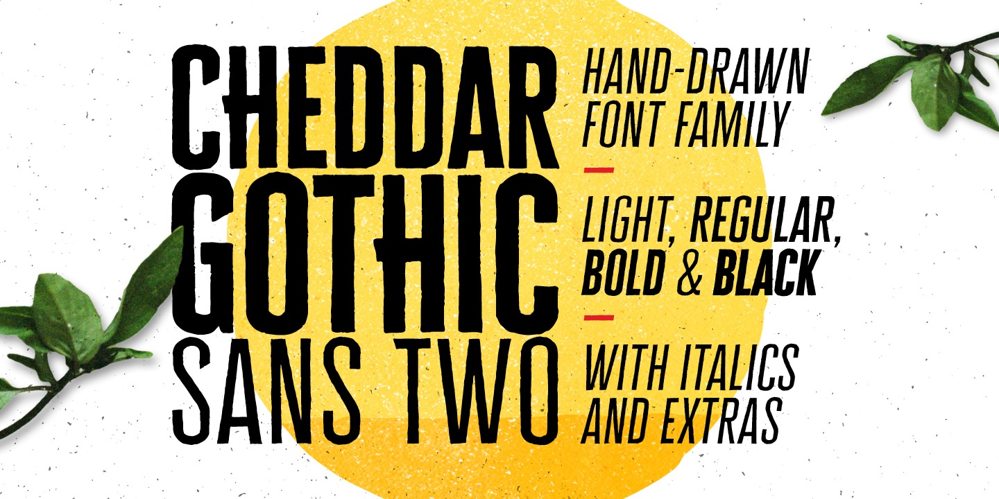 Beispiel einer Cheddar Gothic Sans Two Light Italic-Schriftart